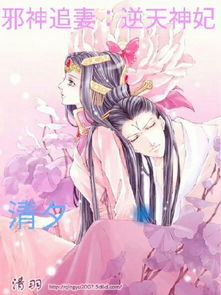 情随风去了无痕